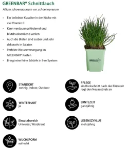 GREENBAR® Küchenkräuter-Set, 6-teilig