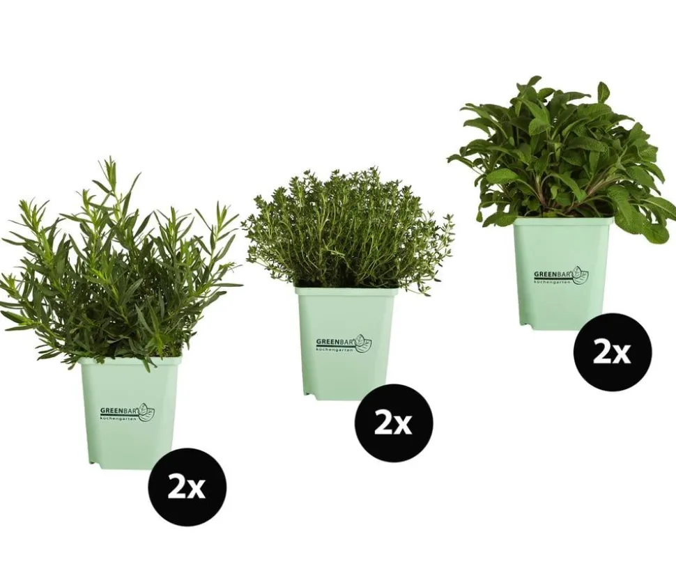 GREENBAR® Kräuter-Set Französische Küche, 6-teilig