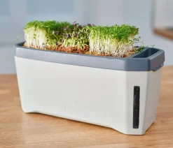 Gusta Garden Kräutertopf Harry Herbs, ca. B36/H16/T15 cm