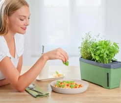 Gusta Garden Kräutertopf Harry Herbs, ca. B36/H16/T15 cm