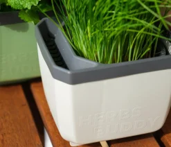 Gusta Garden Kräutertopf Herbs Buddy, ca. B16/H14/T14 cm
