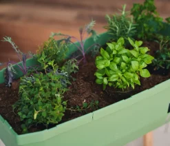 Gusta Garden Mini-Hochbeet Sammy Salad, inkl. Haube, ca. B79/H95/T38 cm