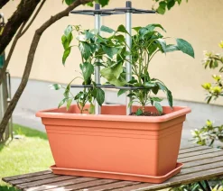 Gusta Garden Paprika-Rankhilfe Chili Buddy, ca. B34/H64/T19 cm