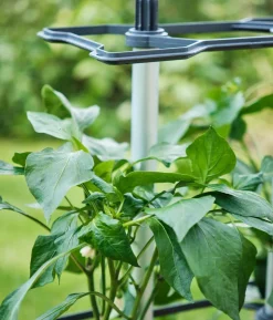 Gusta Garden Rankhilfe Chili Buddy, ca. B34/H64/T19 cm, 3er-Set