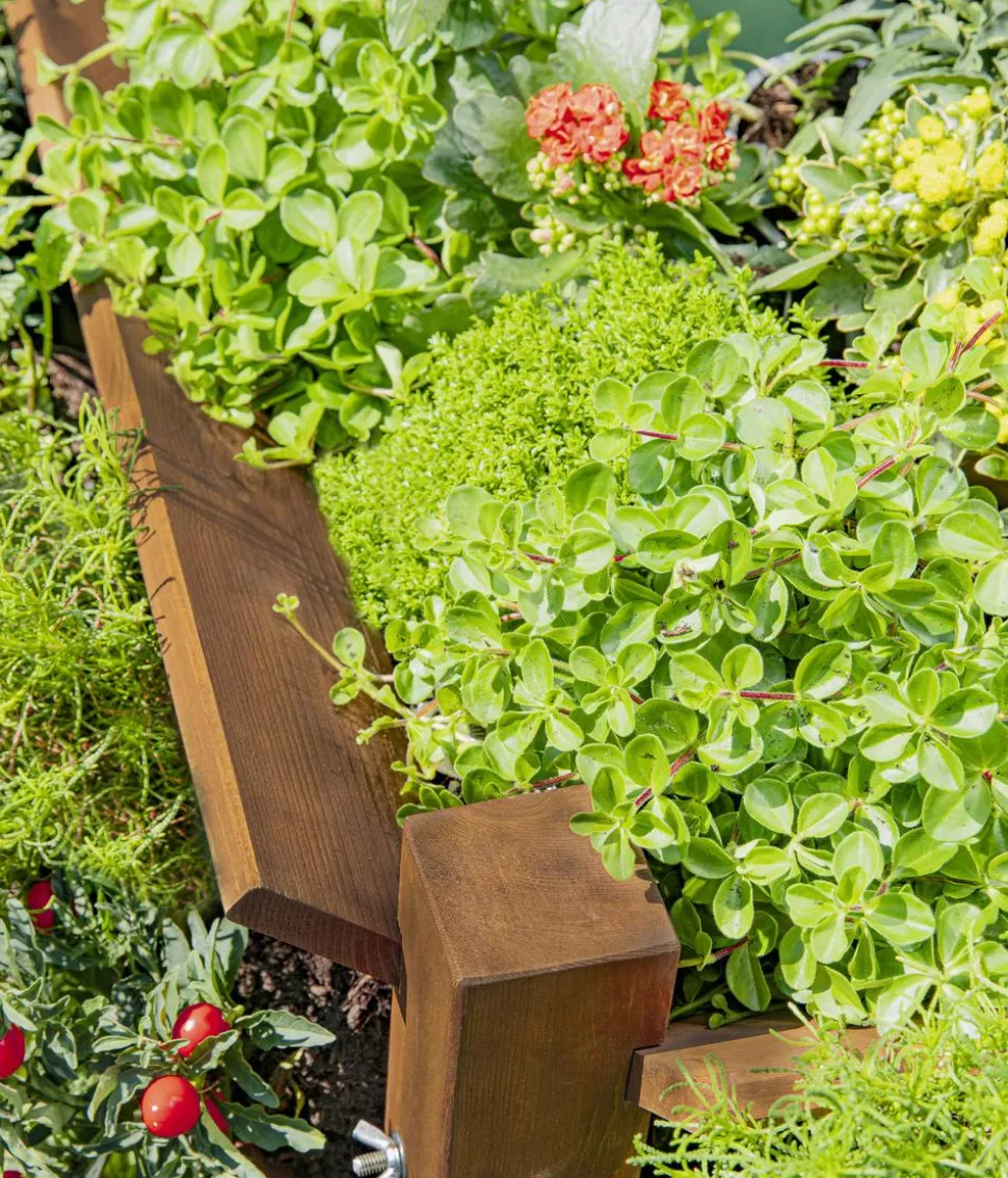 Hecht Holz-Kräuterhochbeet, ca. B125/H73/T91 cm