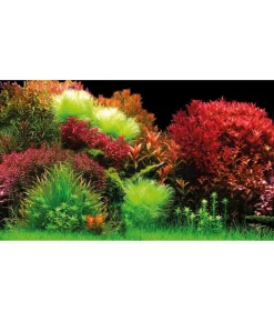 Hobby® Aquarium Rückwand Ocean/Ruby Lake