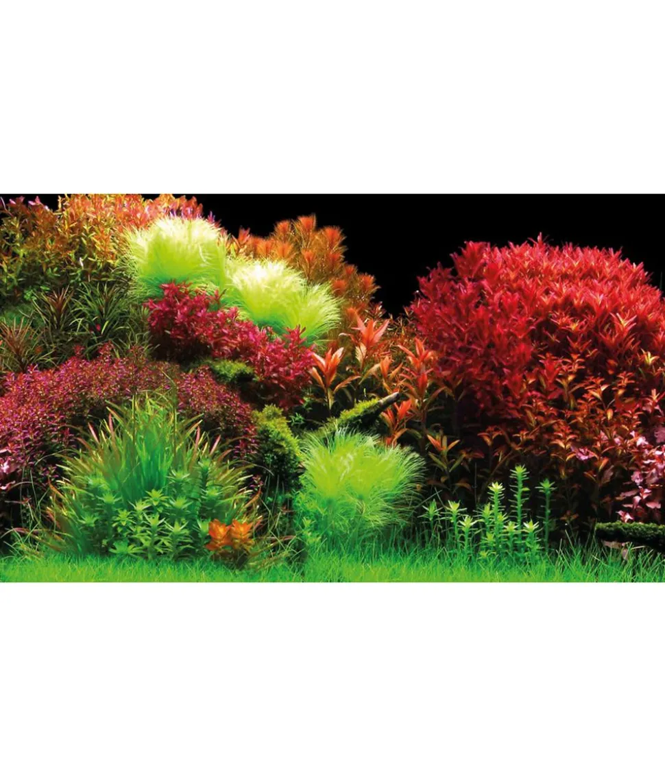 Hobby® Aquarium Rückwand Ocean/Ruby Lake