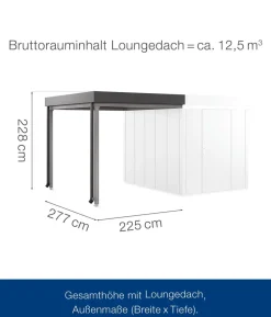 Hörmann Juno Loungedach für JFD6/10/13, ca. B225/H220/T277 cm