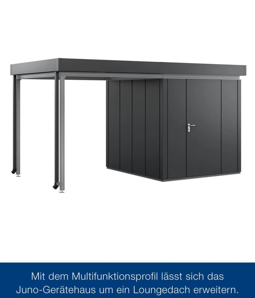 Hörmann Juno Multifunktionsprofil für JFD14, ca. B310/T310 cm