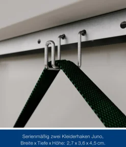 Hörmann Metallgerätehaus Juno JPD4 M-Sk Motiv Modern mit Doppeltür, ca. B229/H224/T214 cm