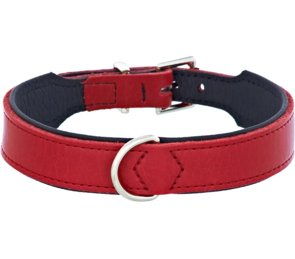 HUNTER® Hundehalsband Basic, rot/schwarz