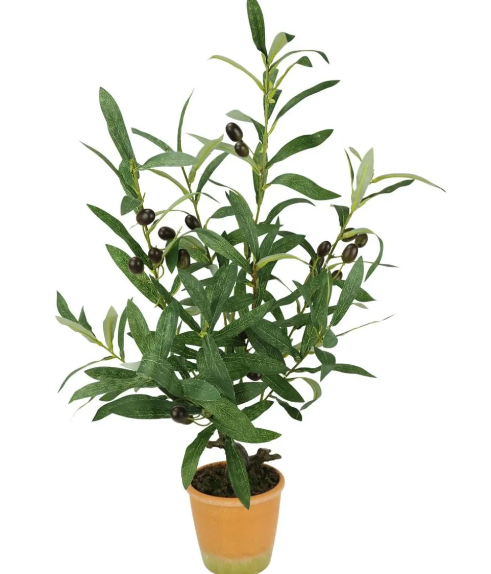 I.GE.A. Kunstpflanze Olive mit schwarzen Oliven, im Topf, ca. H57 cm