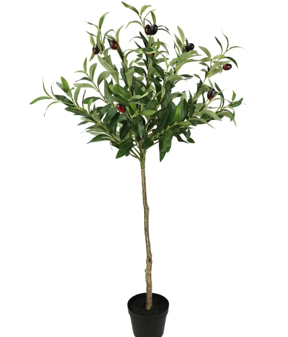 I.GE.A. Kunstpflanze Olivenbaum mit schwarzen Oliven, im Topf, ca. H80 cm