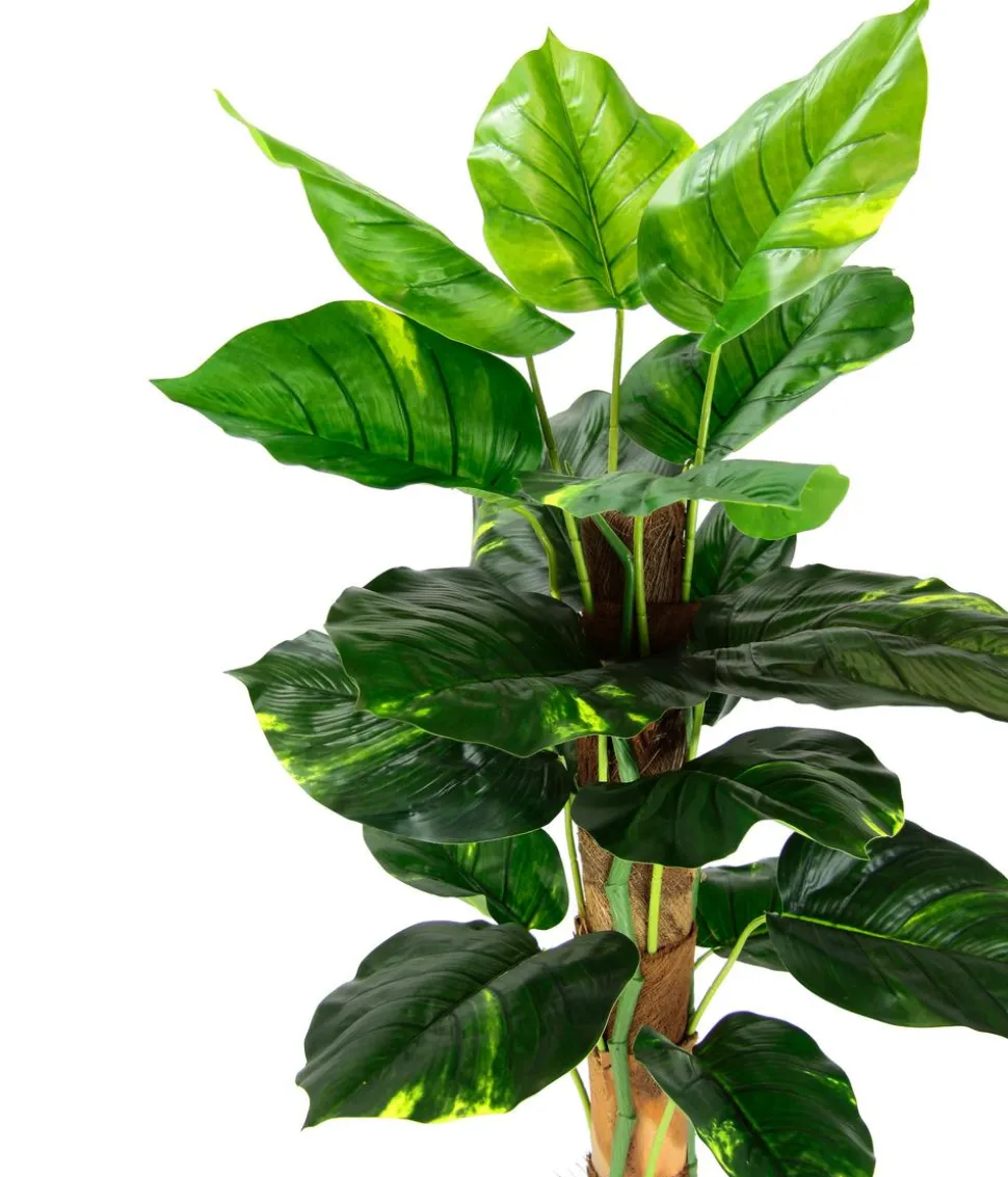I.GE.A. Kunstpflanze Pothos im Topf, ca. H80 cm