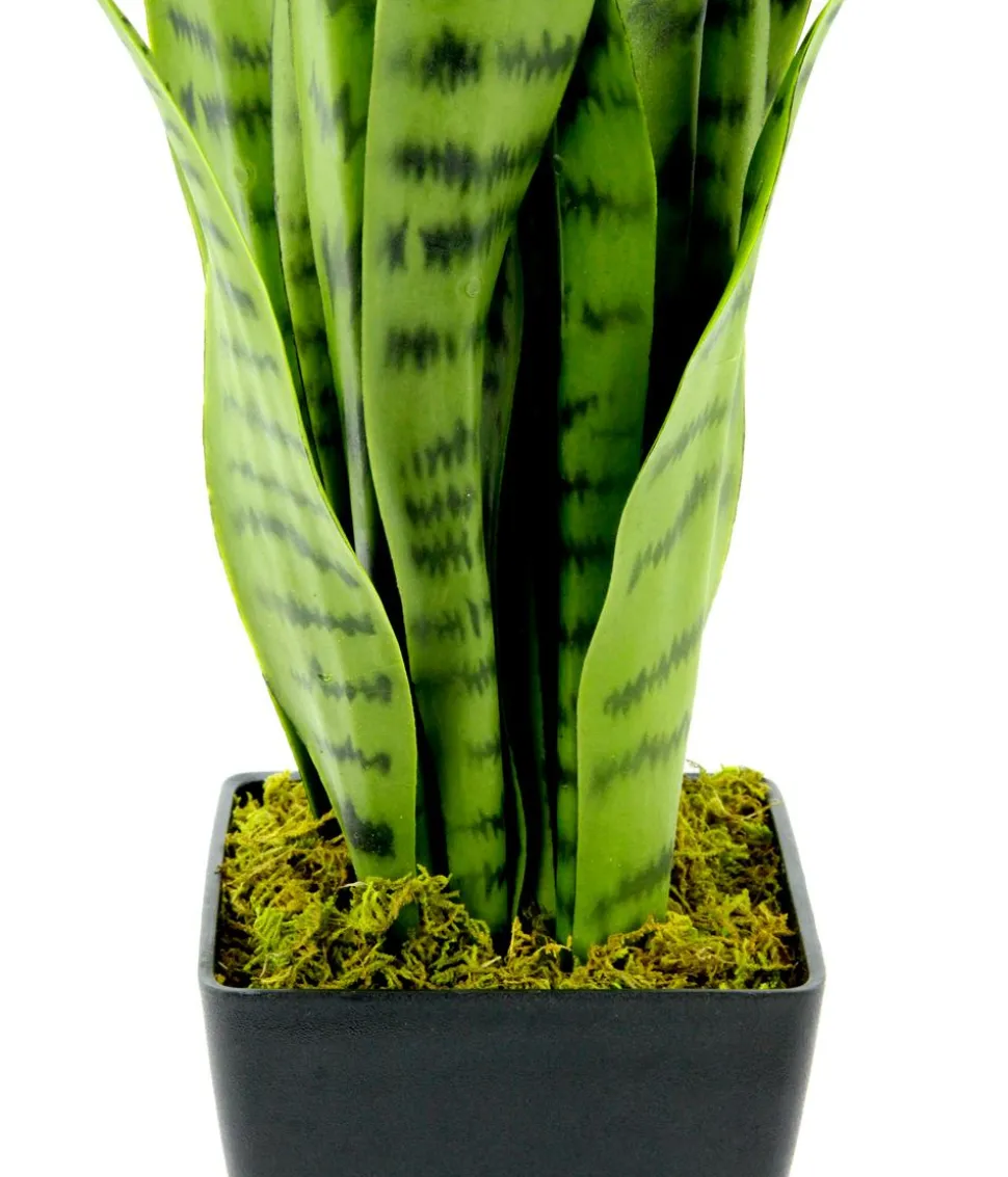 I.GE.A. Kunstpflanze Sansevieria im Kunststoff-Topf, ca. H75 cm