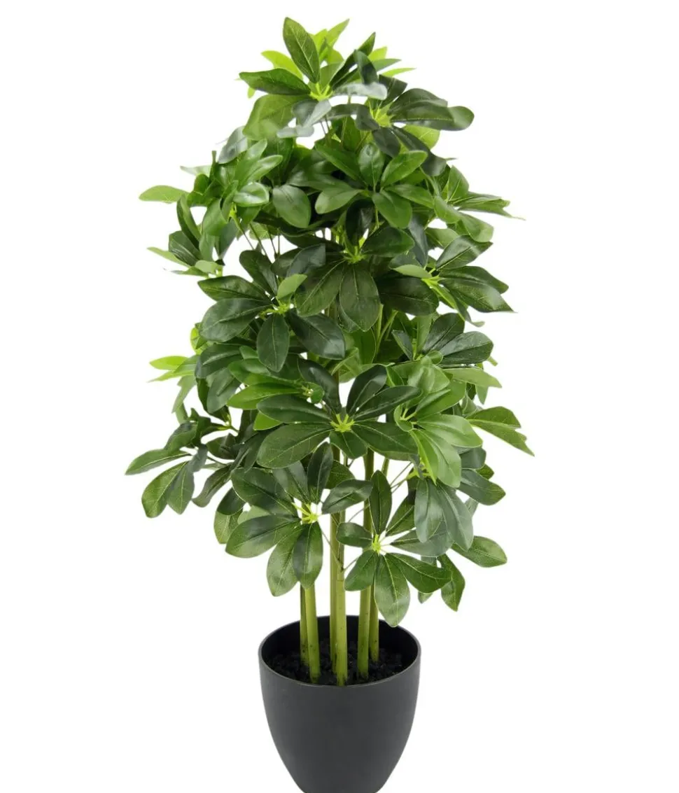 I.GE.A. Kunstpflanze Schefflera im Topf, ca. H83 cm