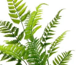 I.GE.A. Kunstpflanze Waldfarn im Topf, ca. H90 cm