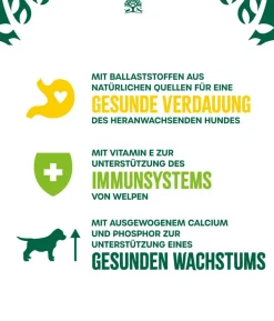 James Wellbeloved Nassfutter für Hunde Puppy Junior, Huhn in Pastete