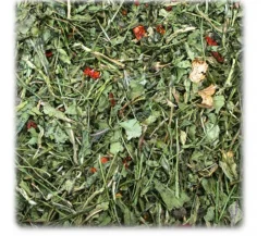JR FARM Ergänzungsfutter Rucola & Tomate, 100 g