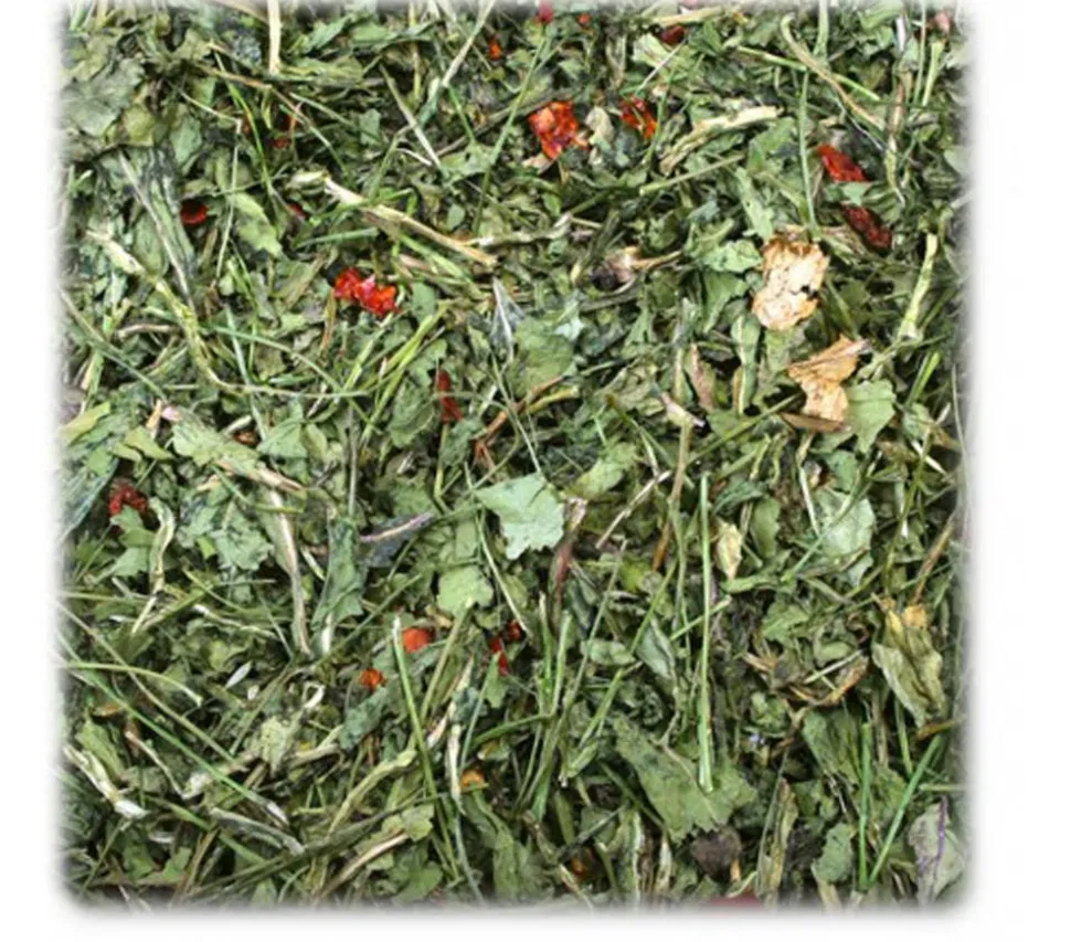 JR FARM Ergänzungsfutter Rucola & Tomate, 100 g
