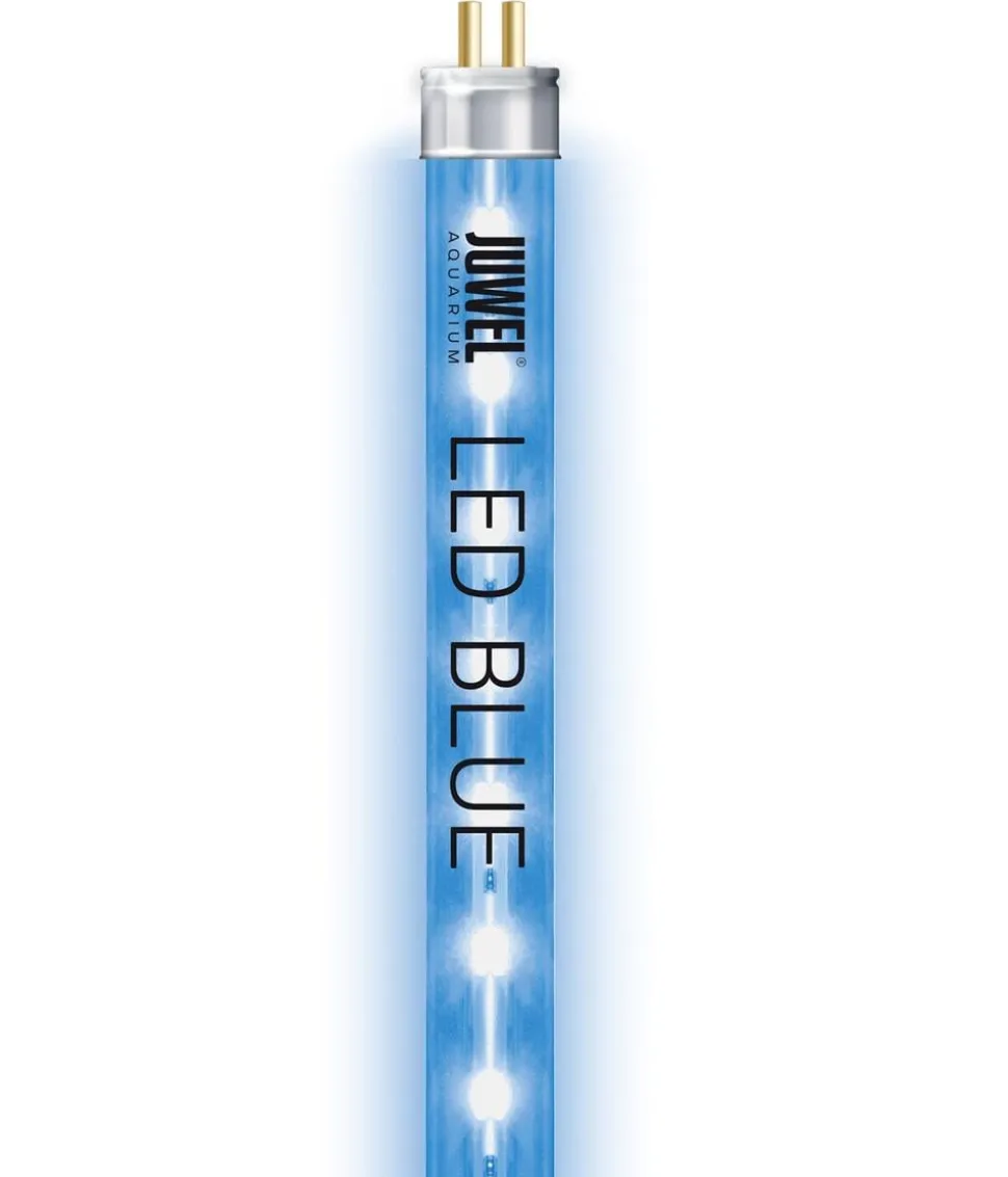 JUWEL® AQUARIUM Aquariumbeleuchtung LED Blue