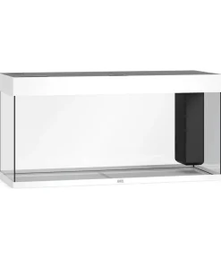 JUWEL® AQUARIUM Rio 240 LED