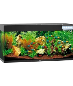 JUWEL® AQUARIUM Rio 240 LED