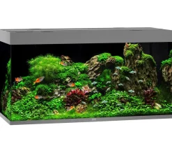 JUWEL® AQUARIUM Rio 350 LED