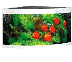 JUWEL® AQUARIUM Trigon 350 LED