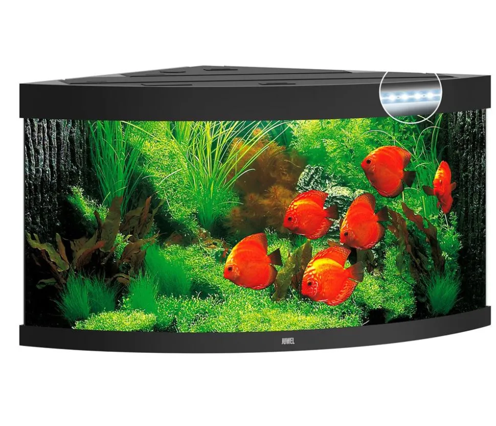 JUWEL® AQUARIUM Trigon 350 LED