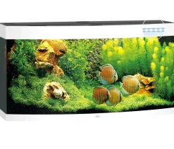 JUWEL® AQUARIUM Vision 260 LED