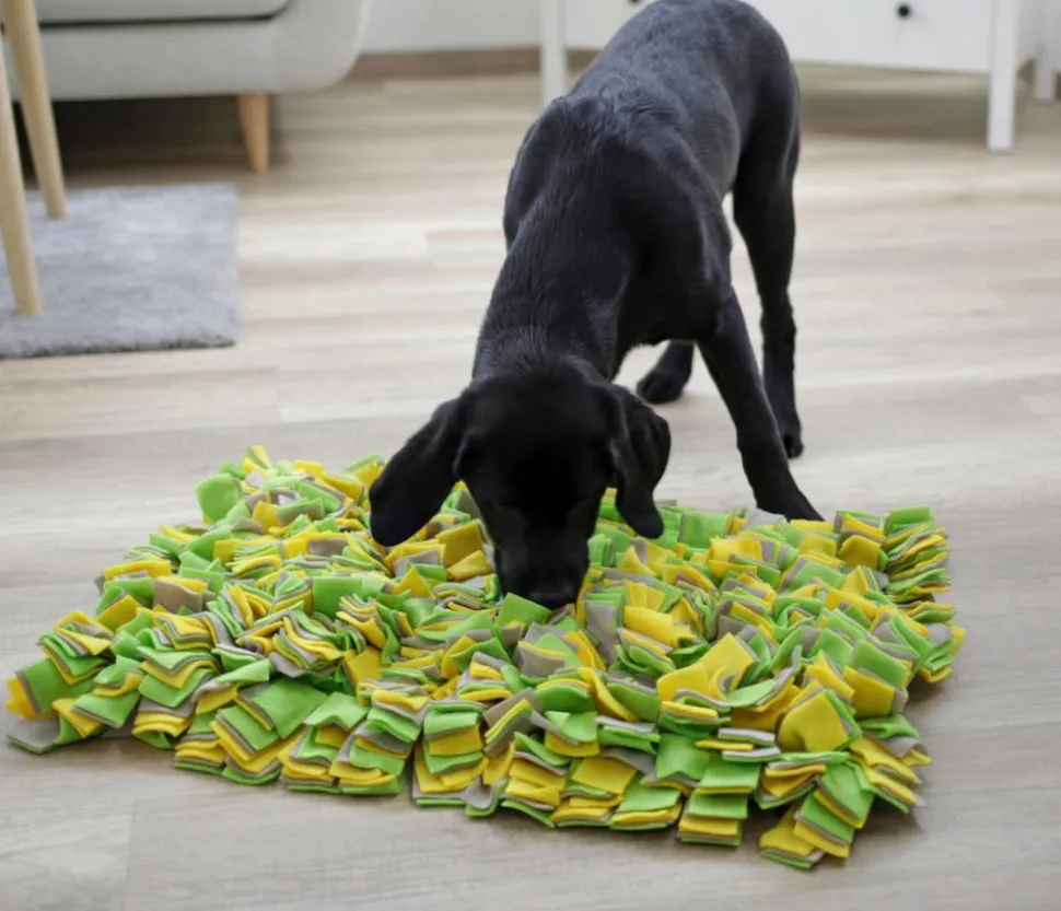 KERBL Pet Schnüffelteppich für Hunde, ca. B70/H5/T50 cm