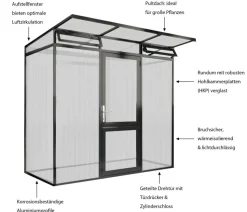 KGT Gewächshaus Linea I