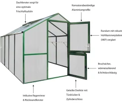 KGT Gewächshaus Rose IV