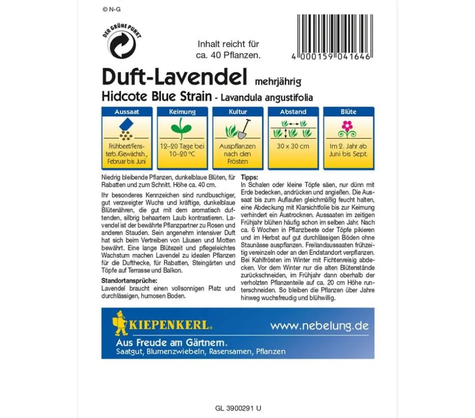 Kiepenkerl Saatgut Duft-Lavendel 'Hidcote Blue Strain'