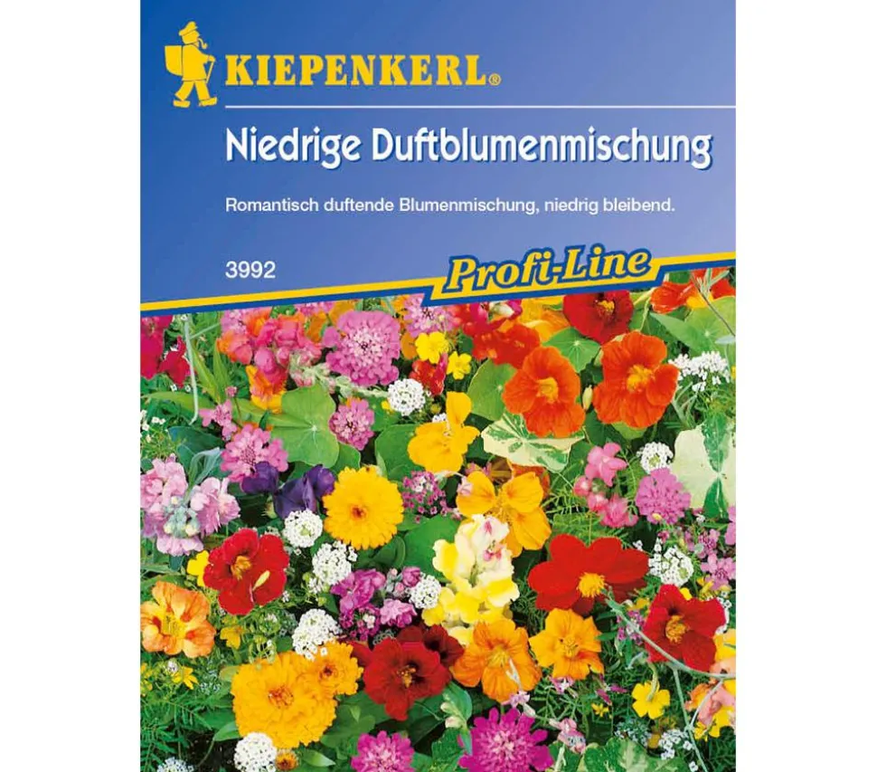 Kiepenkerl Saatgut Niedrige Duftblumenmischung