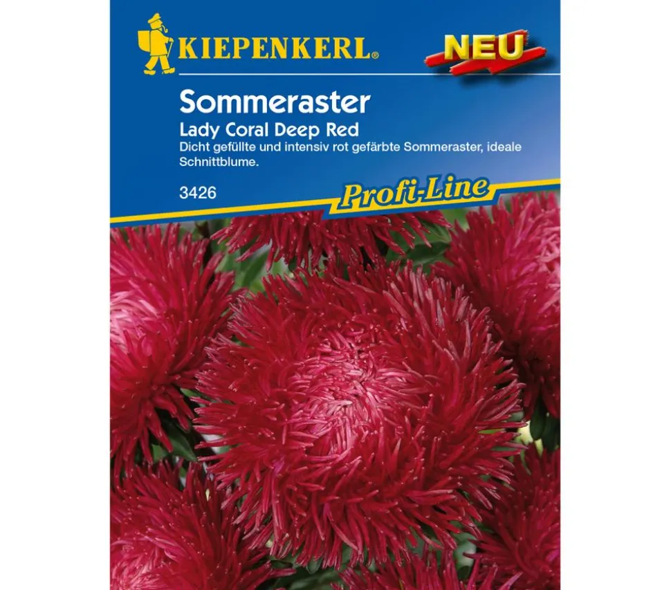 Kiepenkerl Saatgut Sommeraster 'Lady Coral Deep Red'