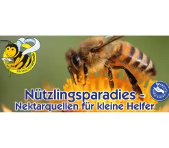 Kiepenkerl Saatgut Sonnenblume 'Samtkönigin'