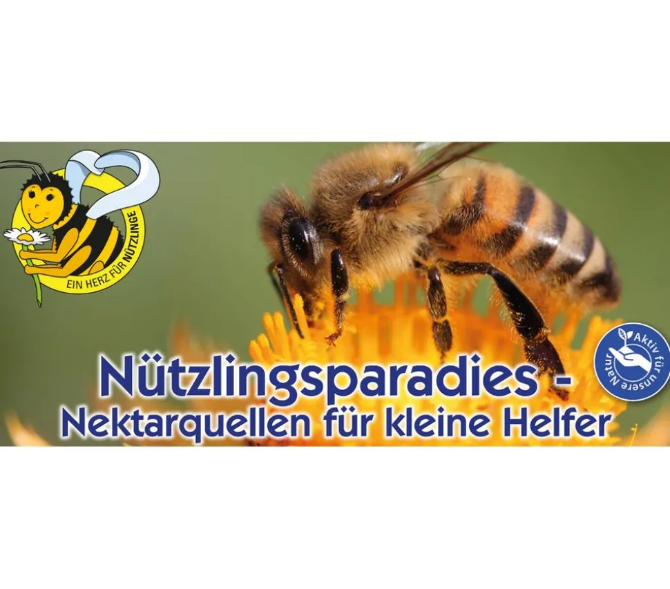 Kiepenkerl Saatgut Wildblumen Kräutermischung