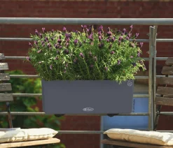 LECHUZA® Kunststoff-Kasten Balconera Cottage, rechteckig