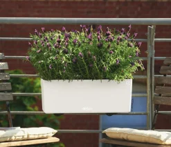 LECHUZA® Kunststoff-Kasten Balconera Cottage, rechteckig