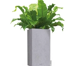 LECHUZA® Kunststoff-Topf Canto Stone, quadratisch