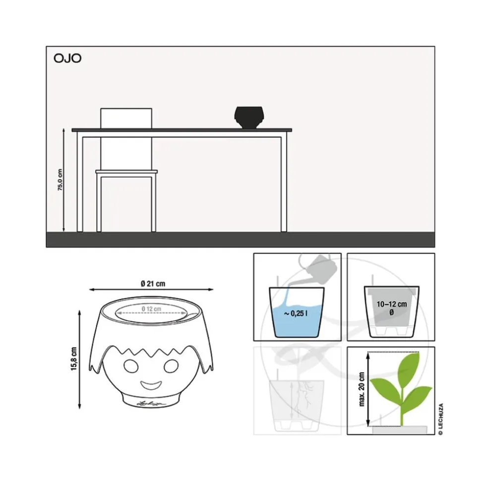 LECHUZA® OJO All-in-One-Set, ca. Ø21/H15,8 cm