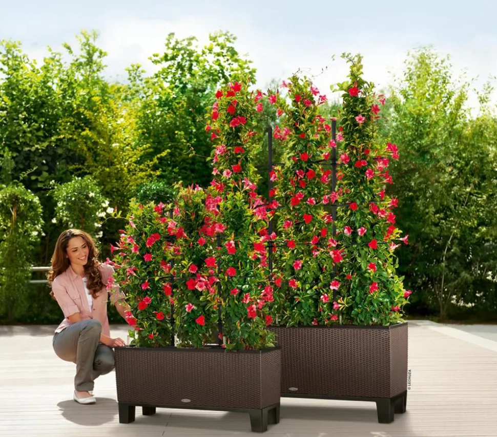 LECHUZA® Trio Cottage Rankgitter, schwarz, ca. B113/H170 cm