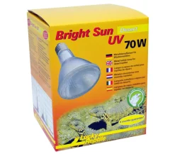 Lucky Reptile Bright Sun UV Desert