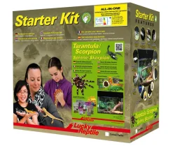 Lucky Reptile Starter Kit Komplettset Spinnen/Skorpione, ca. B50/H40/28 cm
