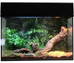 Lucky Reptile Starter Kit Komplettset Spinnen/Skorpione, ca. B50/H40/28 cm