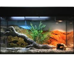 Lucky Reptile Starter Kit Komplettset Bartagame, ca. B80/H52/T40 cm