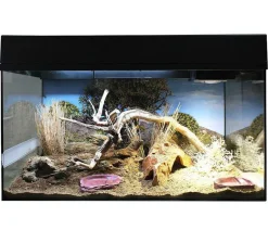 Lucky Reptile Starter Kit Komplettset Bartagame, ca. B80/H52/T40 cm