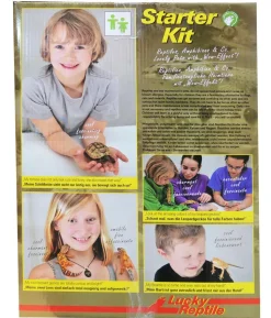 Lucky Reptile Starter Kit Komplettset Spinnen/Skorpione, ca. B50/H40/28 cm